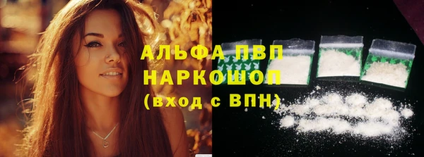 прущие грибы Кодинск