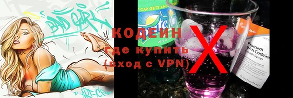 прущие грибы Кодинск